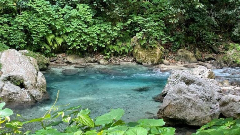 Tour por el Sendero Acuático La Plaza ¡TODO INCLUIDO! - Who Should Consider This Tour?  