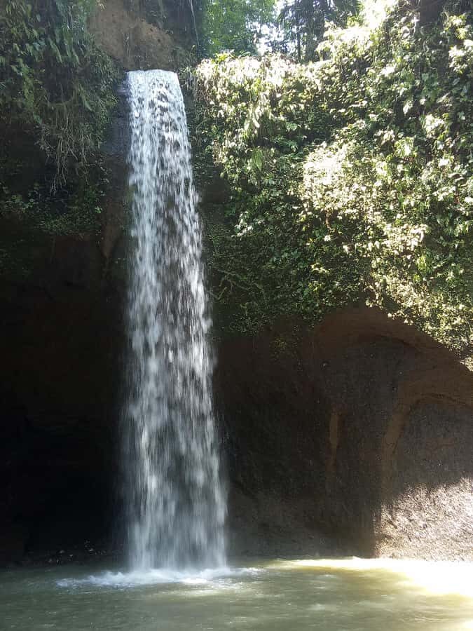 Tour the island of Bali with expert tour guides in Spanish. - Practical Details: What to Expect