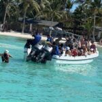 Tour to Saona Island with Lunch and Transportation - Who Will Love This Tour?