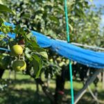 Toyama: E-Bike Tour with Local Guide - Who Should Consider This Tour?