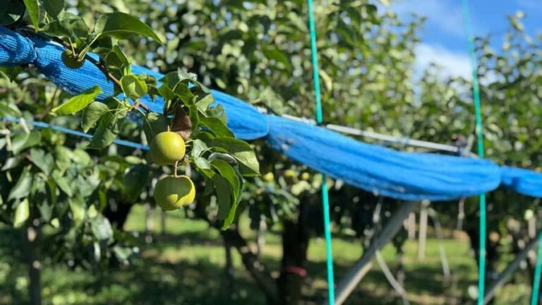 Toyama: E-Bike Tour with Local Guide - Who Should Consider This Tour?