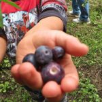 Toyota Green Life Experience Seasonal Farm with Farmers in Inabu - The Itinerary in Detail