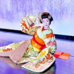 Traditional Japanese Dance Show! The Art of Nihon Buy - Why This Experience Offers Great Value