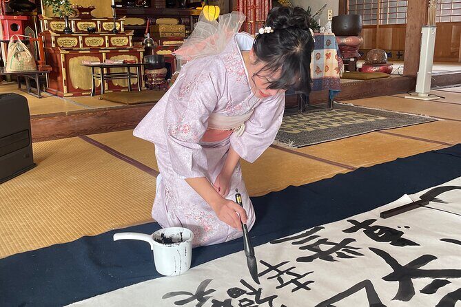 Traditional Kimono Experience in Historic Nara(with Hair Styling) - What Makes This Experience Stand Out?