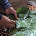 Traditional Leaf Plate Making Workshop in Kathmandu - Exploring the Kathmandu Leaf Plate Workshop in Detail