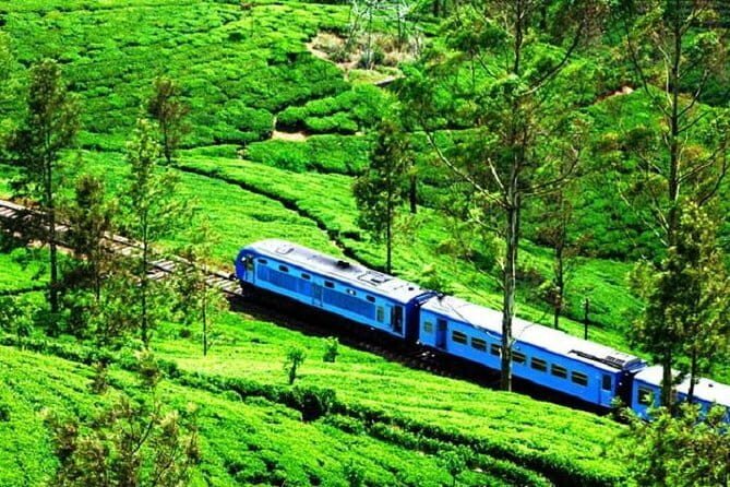 Train tickets from Kandy to Nuwara Eliya or Hatton Station - In-Depth Look at the Trip and Experience
