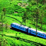 Train tickets from Kandy to Nuwara Eliya or Hatton Station - Price and Value