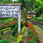 Train Tickets Reservation from Nuwara Eliya to Kandy or Colombo - The Experience of Scenic Views
