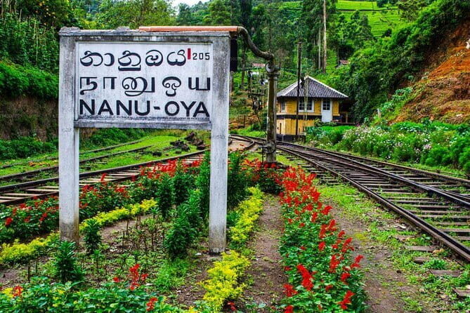 Train Tickets Reservation from Nuwara Eliya to Kandy or Colombo - The Experience of Scenic Views