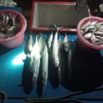 Trang: Andaman Sea Private Fishing Trip by Speedboat - The Value and What Makes This Tour Stand Out