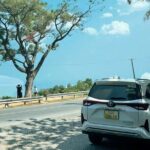 Transfer from airport train station to hotel Danang vice versa - Why This Transfer Service Works Well