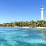 Transfer to Tontouta International Airport - The Details of the Transfer Experience