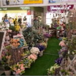 Translator Shopping Assistant and Business Tour Guide Service - The Experience in Detail