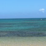 transportation and transfer to airport - Detailed Breakdown of the Experience