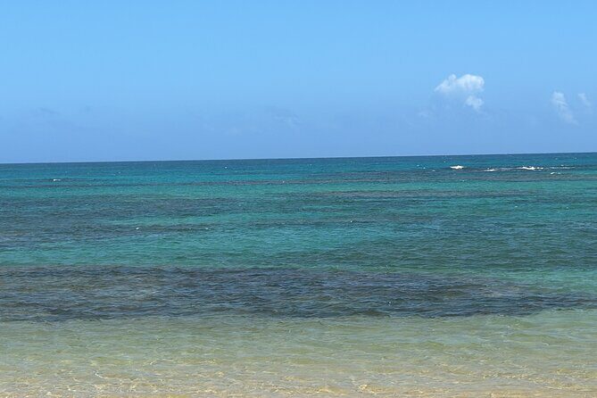 transportation and transfer to airport - Detailed Breakdown of the Experience