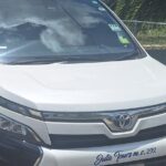 Transportation with Sightseeing to Montego Bay Bird Sanctuary - What’s Included and What to Keep in Mind