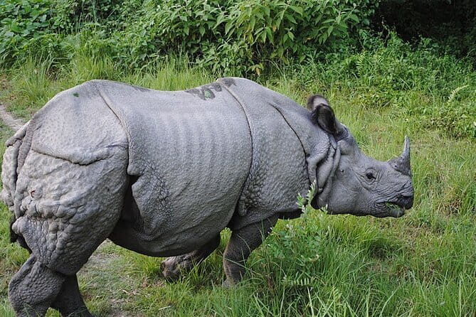 Travel to Nepal 10 days to explore the Culture and Best Views - Transportation, Accommodation, and Overall Value