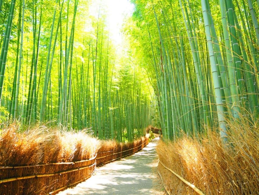 Traversing Kyoto's Scenic West - Arashiyama to Kinkakuji - The Value of This Tour