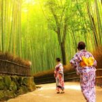 Traversing Kyoto's Scenic West - Arashiyama to Kinkakuji - The Sum Up