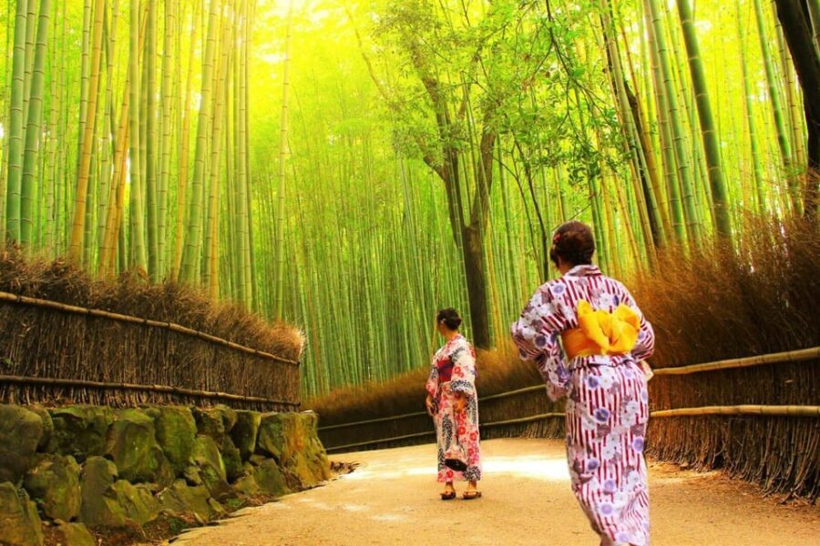 Traversing Kyoto's Scenic West - Arashiyama to Kinkakuji - The Sum Up