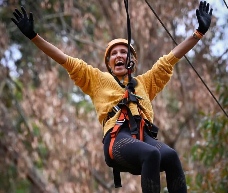 TreeClimb Kuitpo Forest: Exciting Treetop Climbing Adventure - How Does It Measure Up for Value?