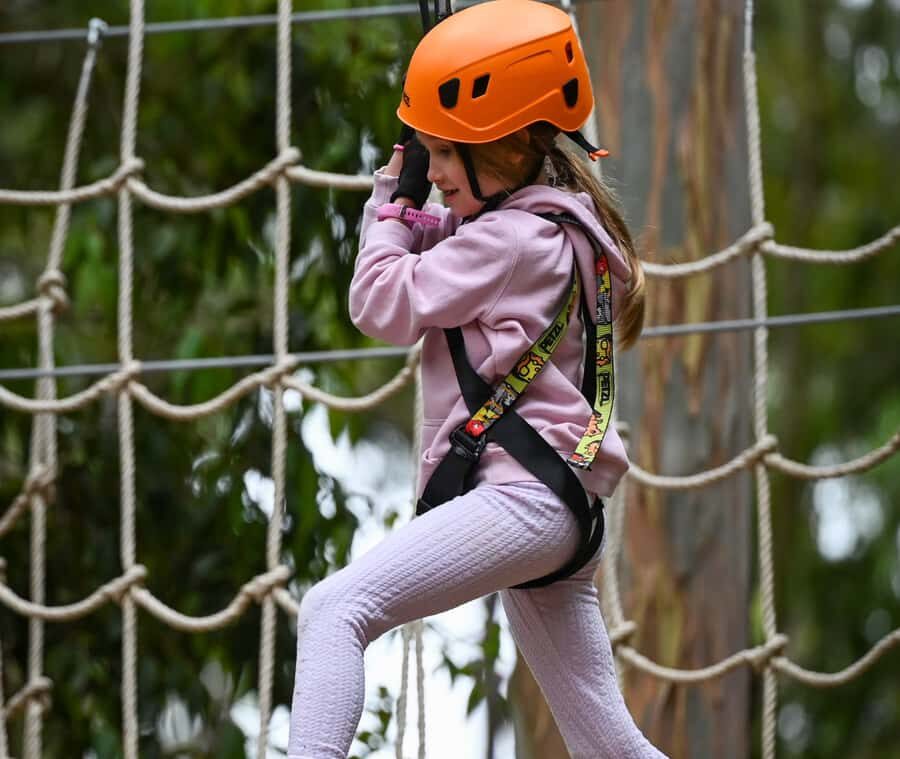 TreeClimb Kuitpo Forest: Treetop Fun For Little Adventurers - Who Will Love TreeClimb Kuitpo Forest?