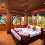 Treehouse stay in munnar - Practical Considerations and Value
