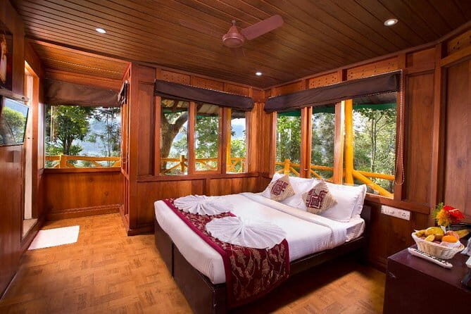Treehouse stay in munnar - Practical Considerations and Value