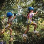 Treetops Adventure The Hills Junior Ropes Course - Why This Experience Works