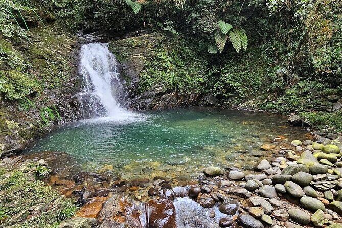 Trekking Journey Discover Bach Ma National Park from Hue - What Makes This Tour Valuable