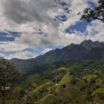 Trekking Sapa 1 Day With Local Guide, Terraced Rice Fields - Why This Tour Offers Great Value