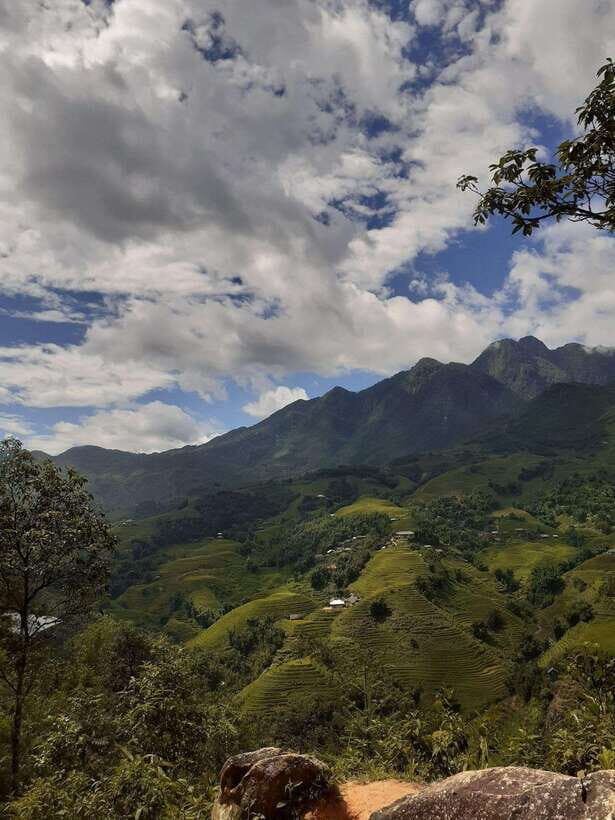 Trekking Sapa 1 Day With Local Guide, Terraced Rice Fields - Why This Tour Offers Great Value