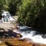 Trekking to Hidden Waterfall & Sturgeon Farm for dog-lovers - Why We Love This Tour