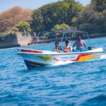 Trincomalee: All Inclusive Whale&Dolphin Watching Boat Tour - The Details That Make a Difference
