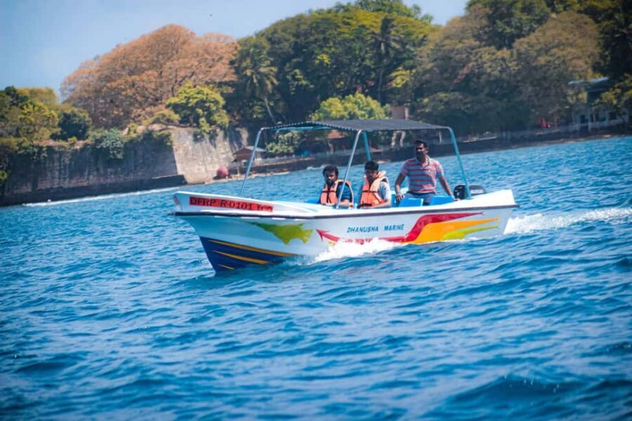 Trincomalee: All Inclusive Whale&Dolphin Watching Boat Tour - What to Expect During the Tour