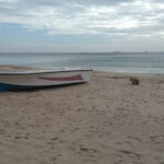 Trincomalee Day Tour From Kandy - Practical Aspects of the Tour