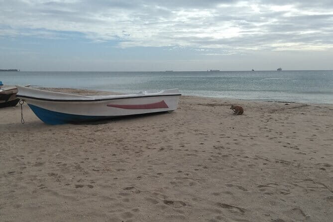 Trincomalee Day Tour From Kandy - Practical Aspects of the Tour