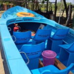 Trincomalee: Dolphin & Whale Watching Boat Tour - Final Thoughts: Is It Worth It?