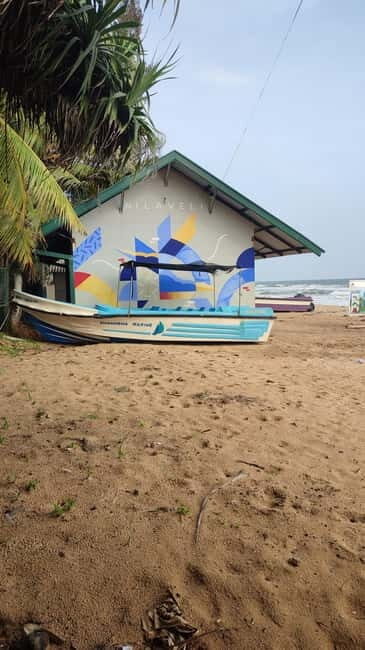 Trincomalee: Dolphin & Whale Watching Boat Tour - Who Should Book This Tour?