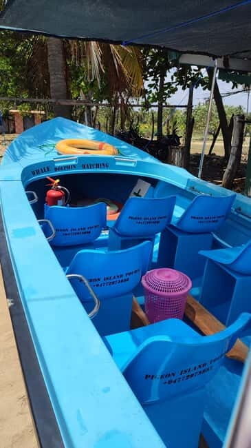 Trincomalee: Dolphin & Whale Watching Boat Tour - Final Thoughts: Is It Worth It?
