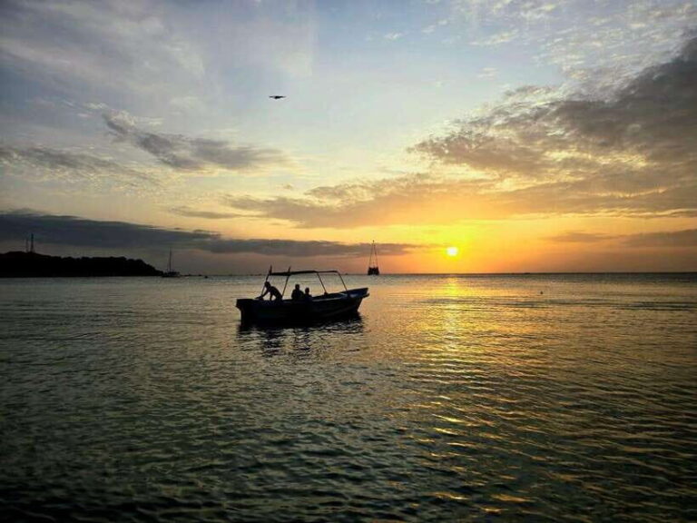 Trincomalee : Whale & dolphin watching +pigeon island tour - Starting Point and Transportation