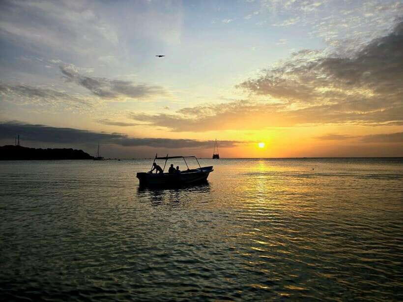 Trincomalee : Whale & dolphin watching +pigeon island tour - Starting Point and Transportation