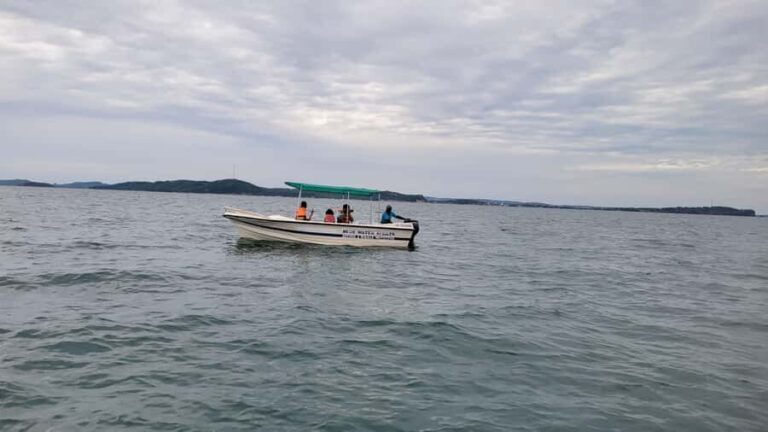 Trincomalee: Whales & Dolphin Watching Tours - The Value in Details