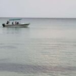 Trincomalee: Whales & Dolphin Watching Tours - Who Should Book This Tour?