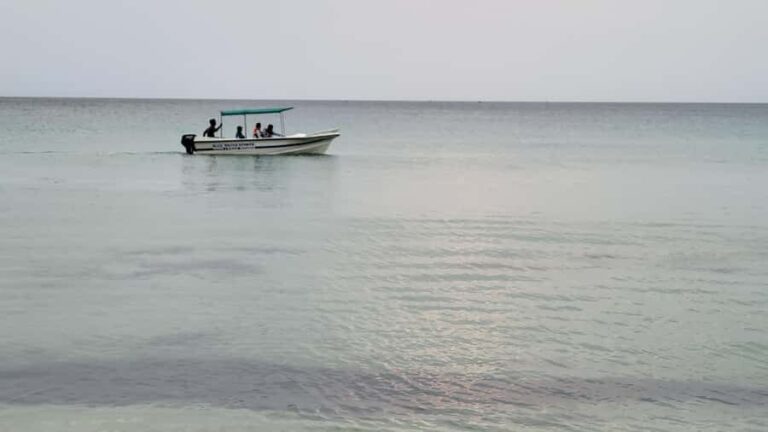 Trincomalee: Whales & Dolphin Watching Tours - Who Should Book This Tour?