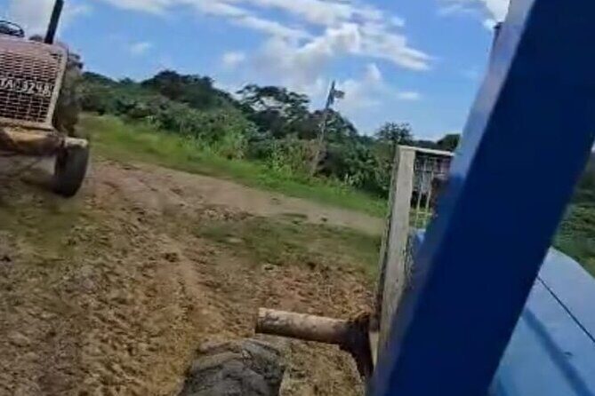 Trinidad's Mud bath - Why Choose This Tour?