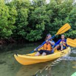 Trio Tour: El Yunque, Luquillo Beach, and Bio Bay Night Kayaking - Authentic Experiences: What Reviewers Say