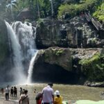 Triple Splash Bali Tour - Value & Overall Experience