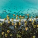 Tropical Quads (2 PERSONS PER QUADS ) - What’s Included and What to Know