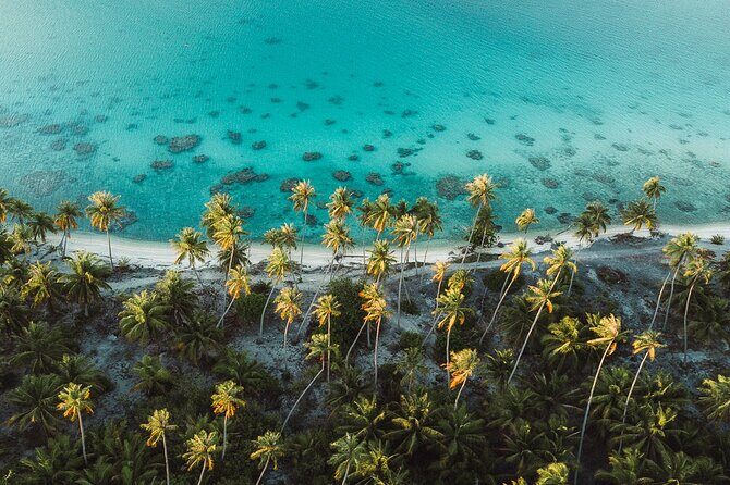 Tropical Quads (2 PERSONS PER QUADS ) - What’s Included and What to Know